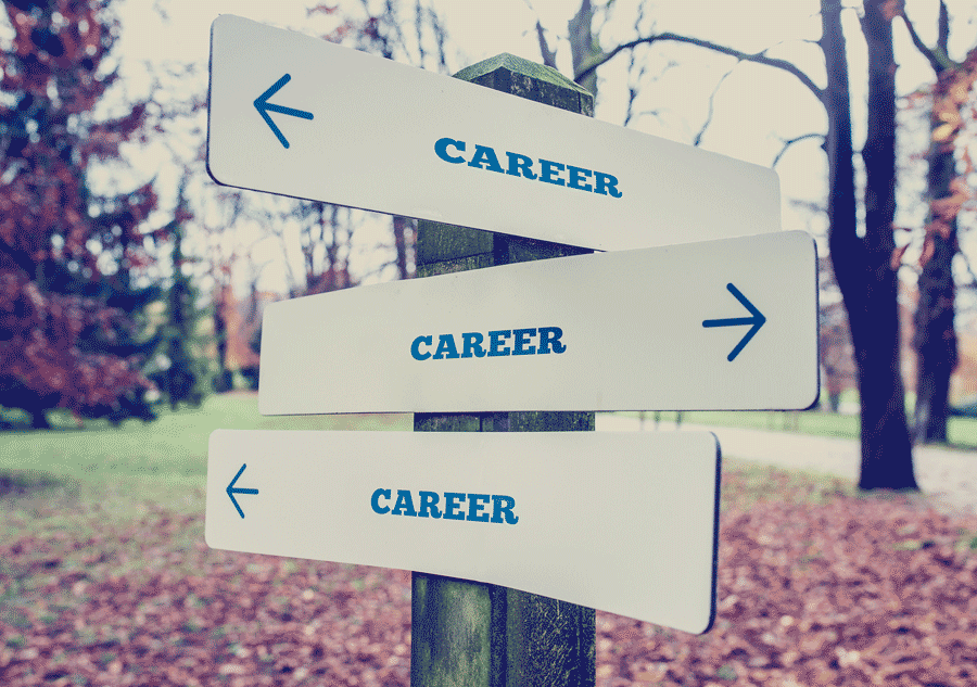 How To Choose the Right Career?